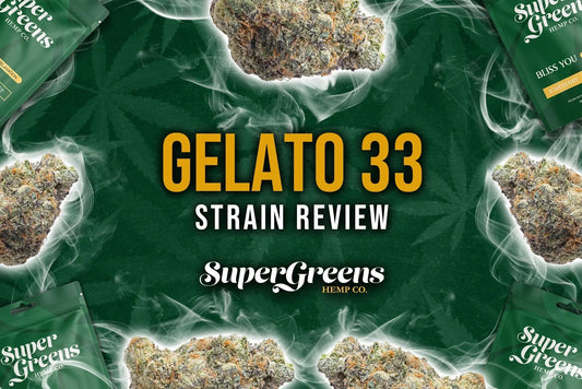 Gelato-33-Strain-Review-Potent-Flavorful-and-Uplifting Super Greens Hemp Co