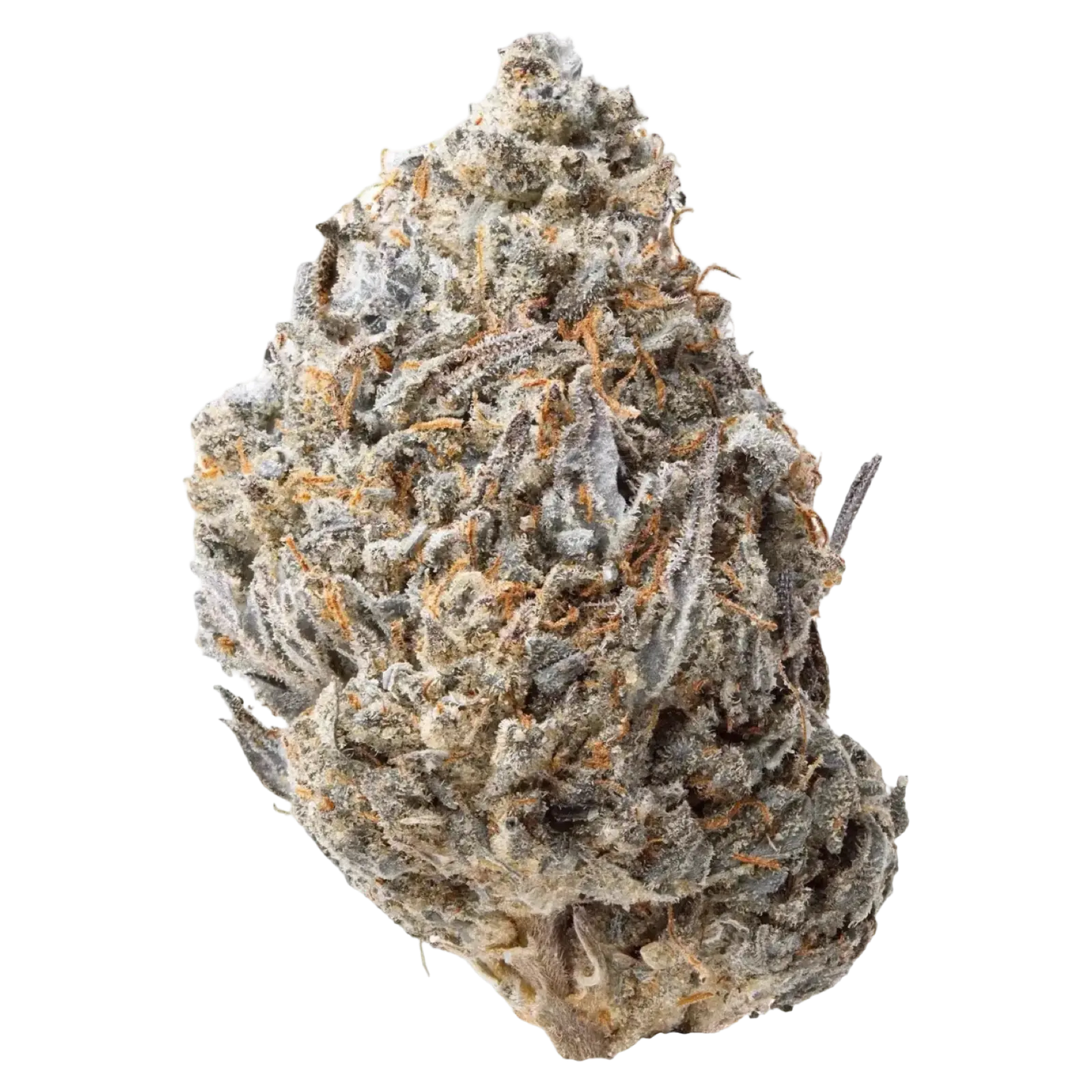 Wonderbread Light Dep THCa Flower supergreenshempco