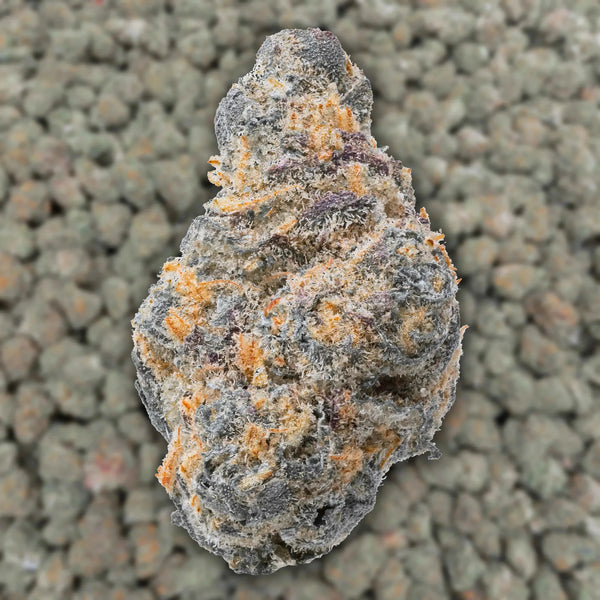 Alaskan TF Smalls THCa Flower supergreenshempco