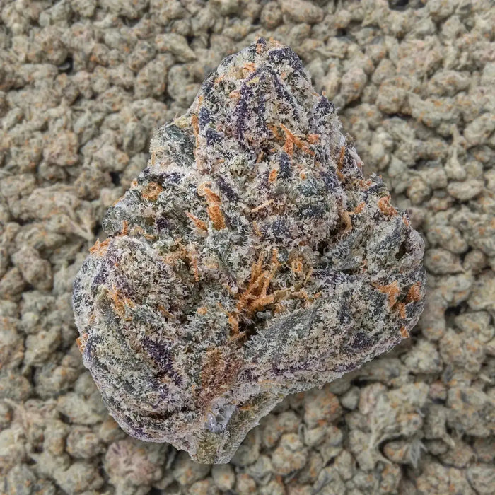 Black cherry Gelato Smalls THCa Flower supergreenshempco