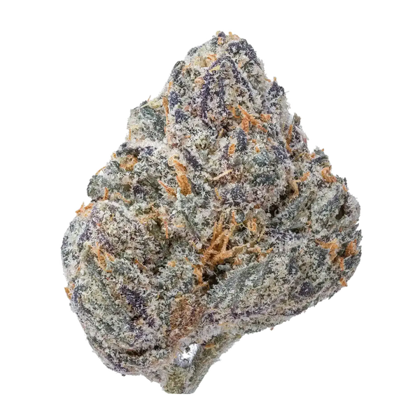 Black cherry Gelato Smalls THCa Flower supergreenshempco