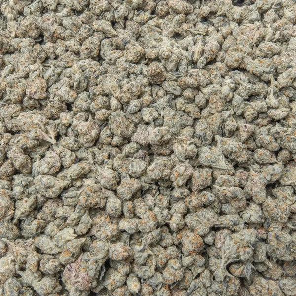 Black cherry Gelato Smalls THCa Flower supergreenshempco