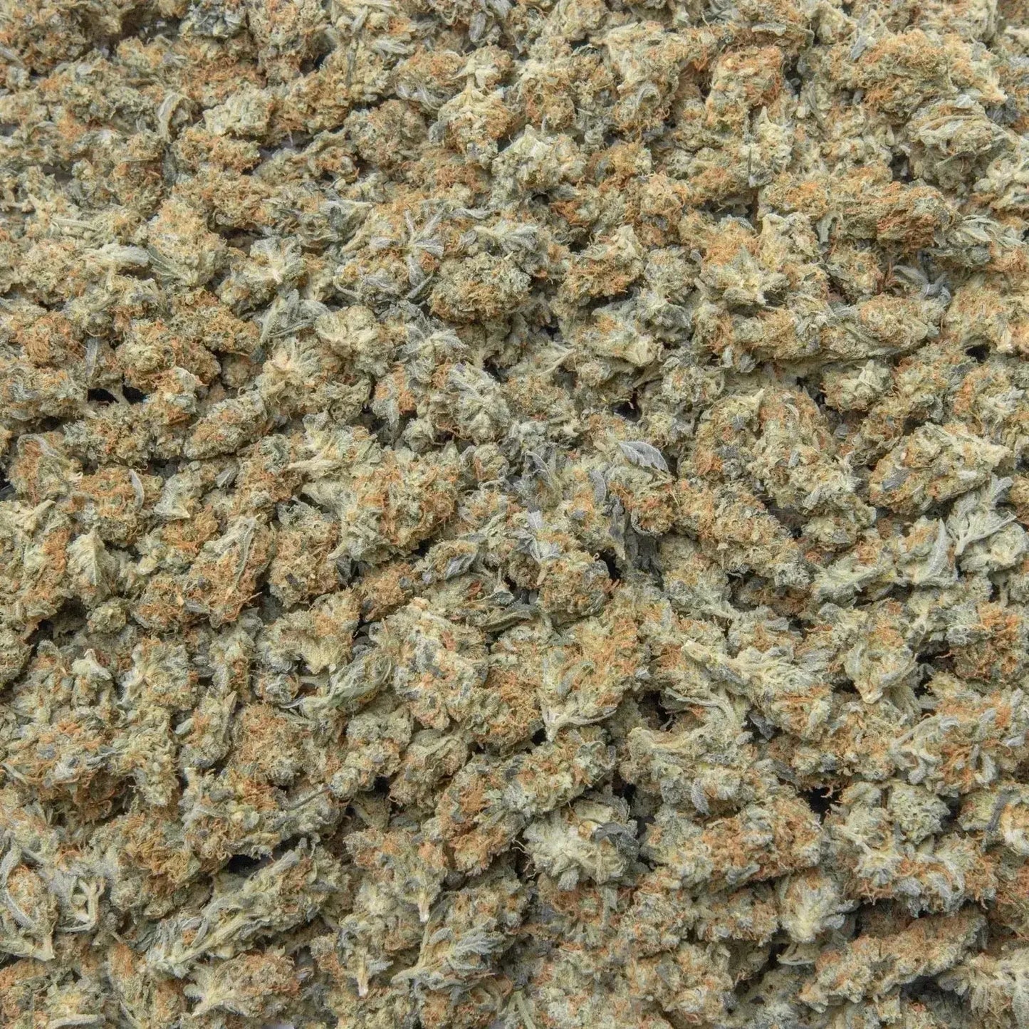 Blue dream Smalls THCa Flower supergreenshempco