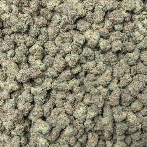 Blue Lobster Smalls THCa Flower supergreenshempco