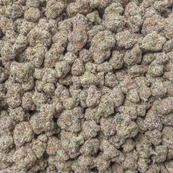 Brat Berry THCa Flower supergreenshempco
