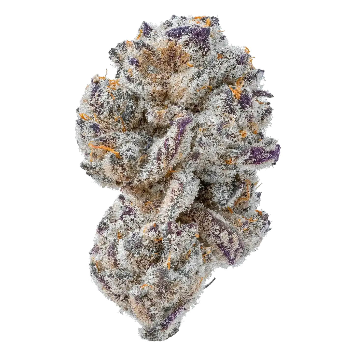 Burnout Cookies THCa Flower supergreenshempco