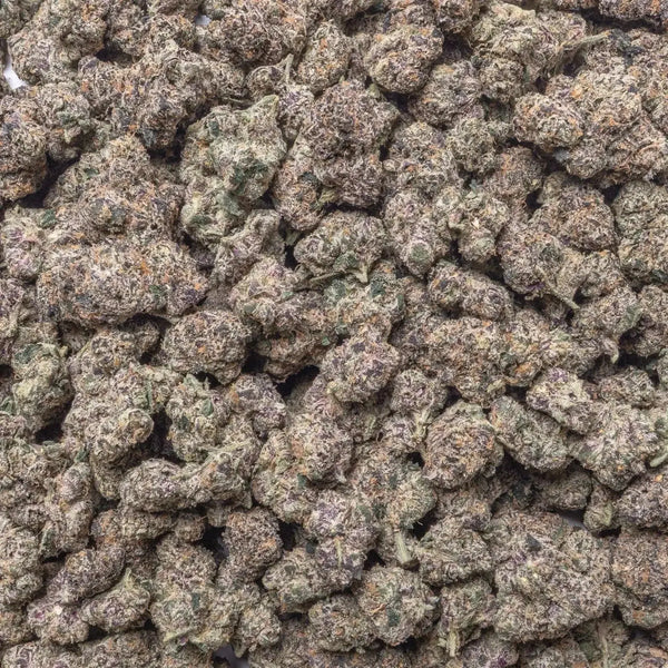 GMZ THCa Flower supergreenshempco