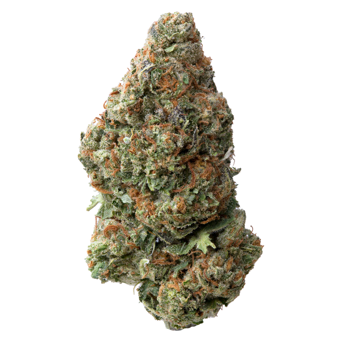 Garlic Cookies THCA Flower | 28 Grams