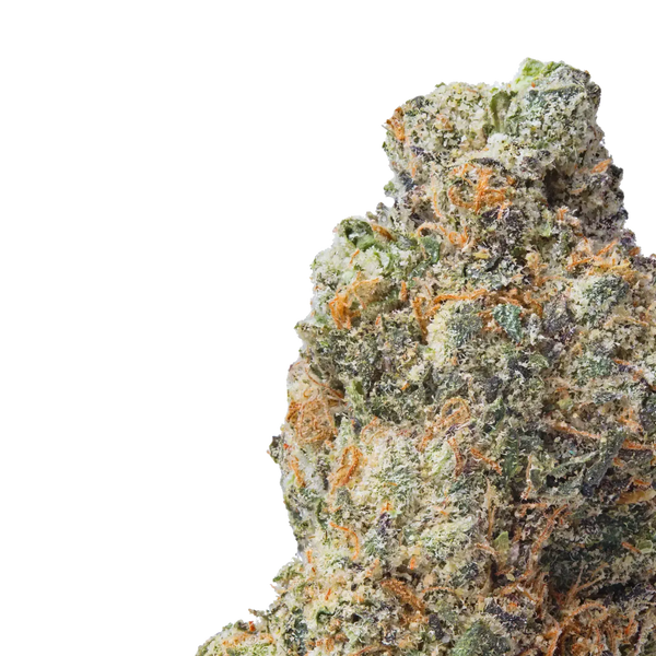 gelato 33 thca flower close up