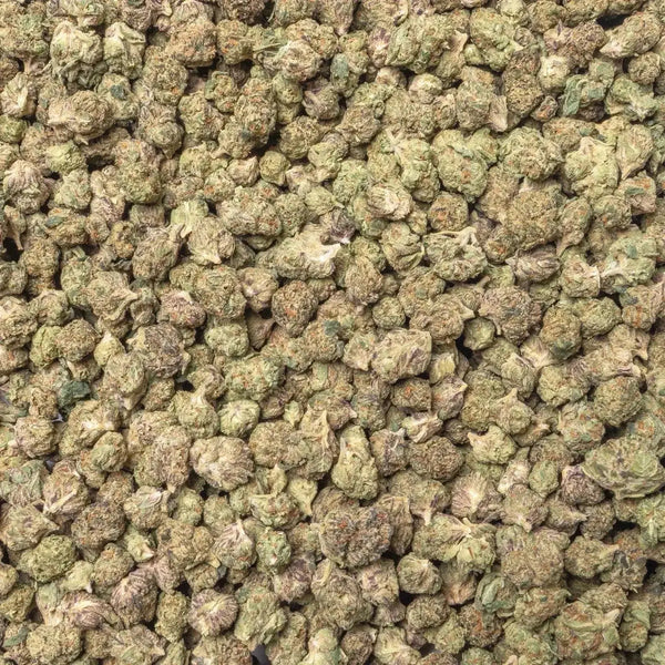 Gelato 41 Smalls THCa Flower supergreenshempco