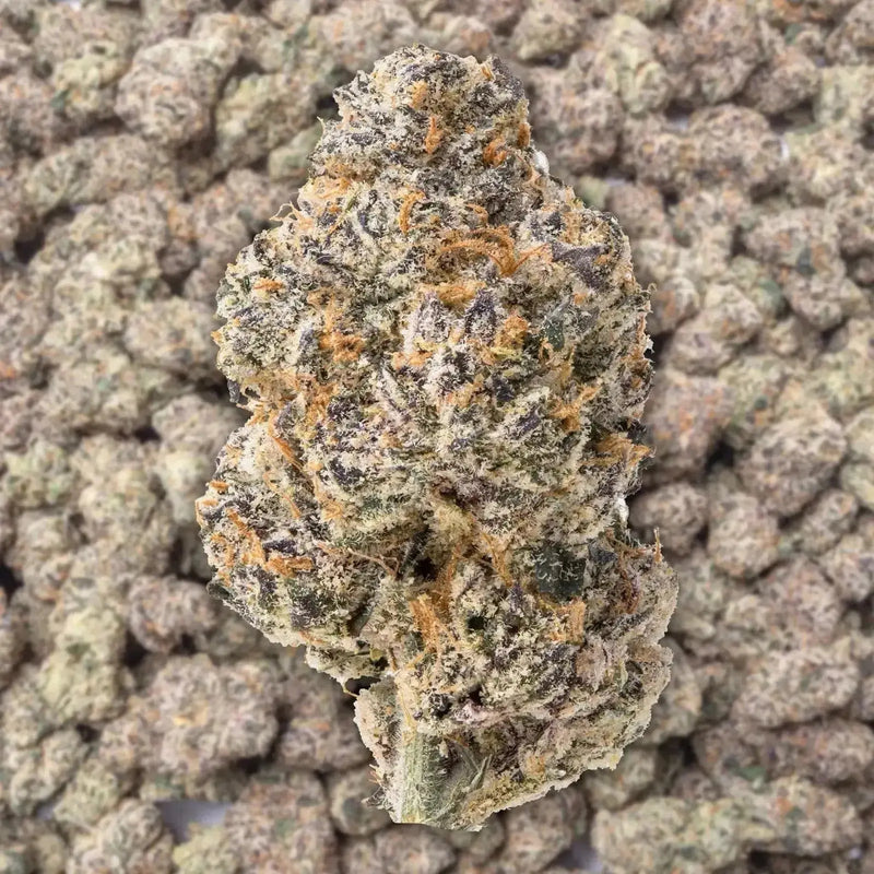 Glitter Bomb THCa Flower supergreenshempco