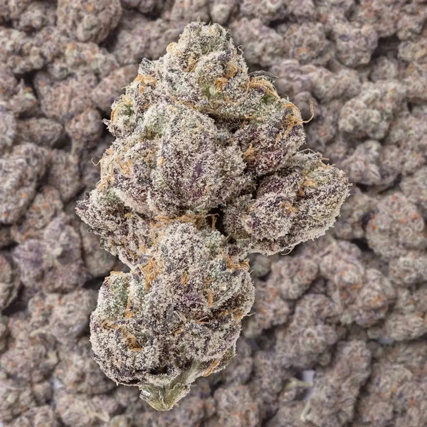 Grape Ape THCa Flower supergreenshempco