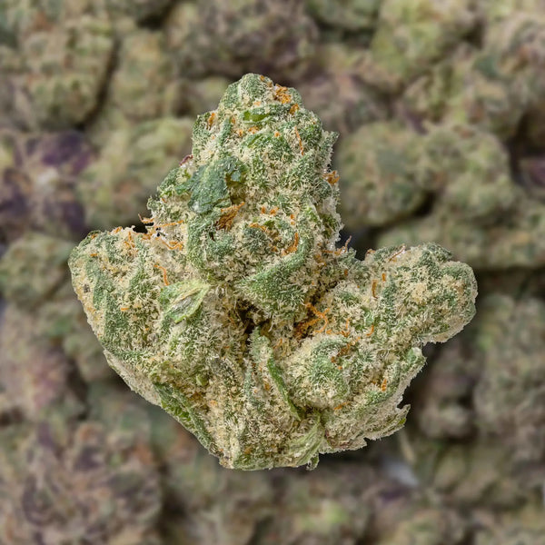 Grape Gas Smalls THCa Flower