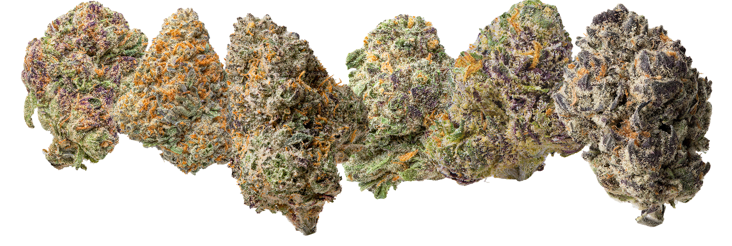 Bottom decorative image