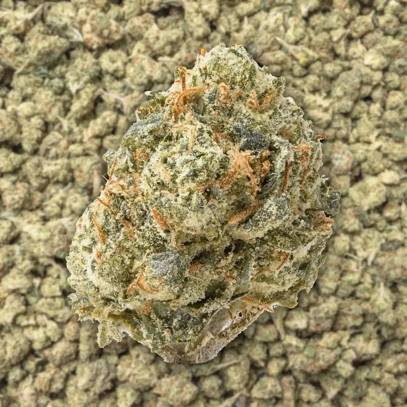 Gushers Smalls THCa Flower supergreenshempco