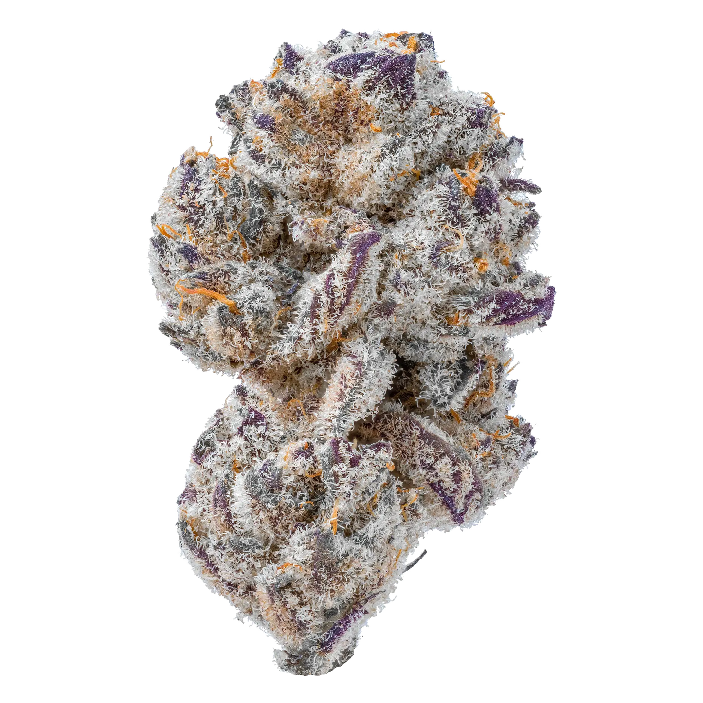 Burnout Cookies THCa Flower supergreenshempco