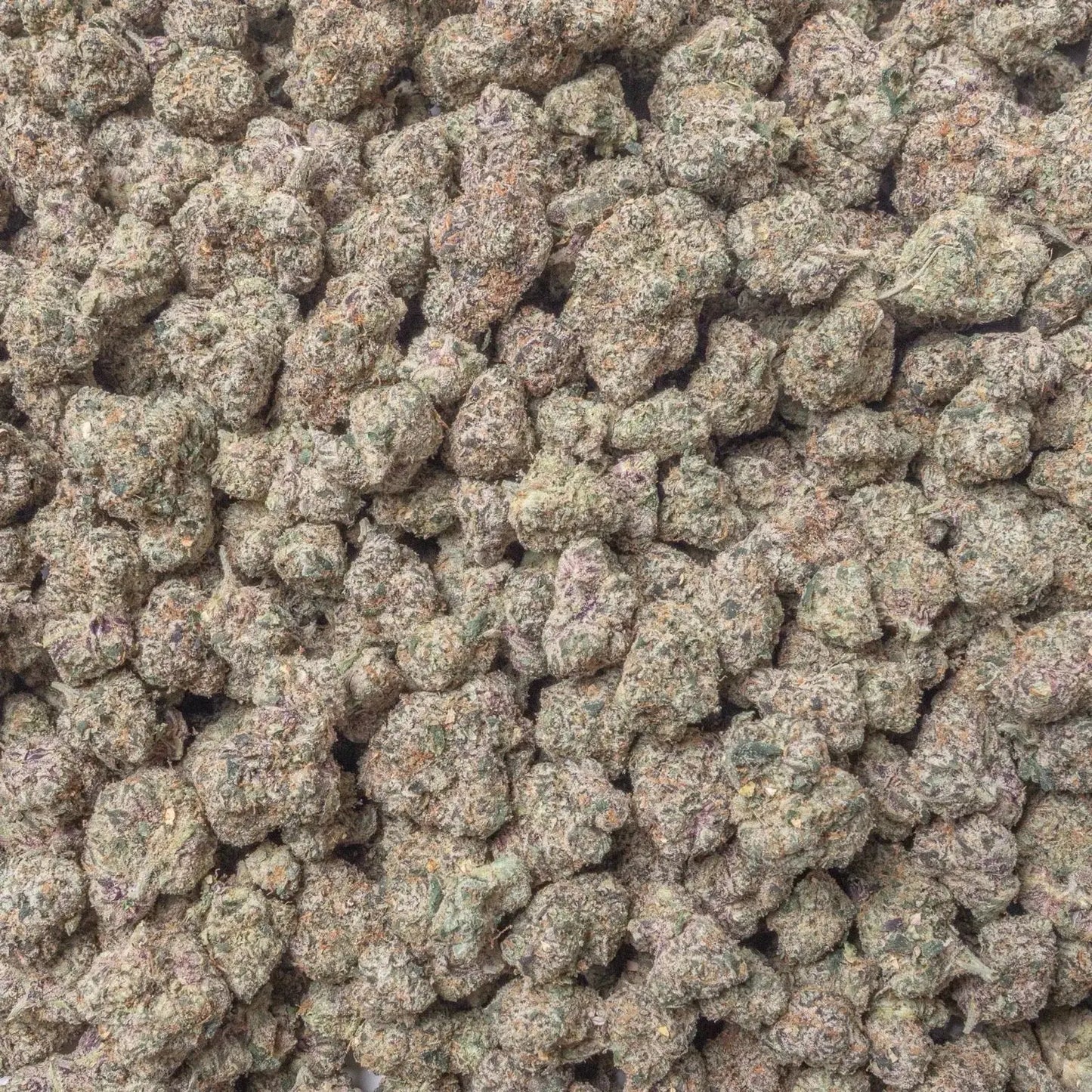 Brat Berry THCa Flower supergreenshempco