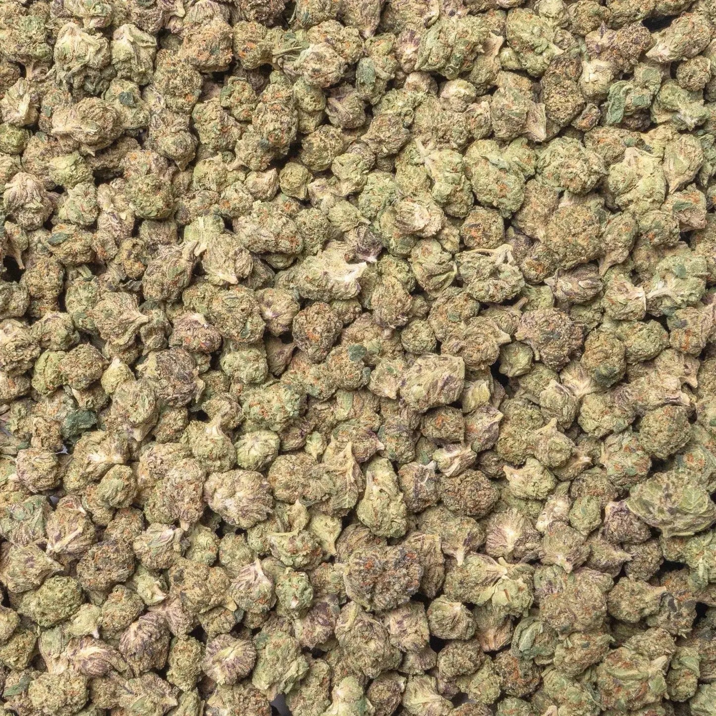Gelato 41 Smalls THCa Flower supergreenshempco