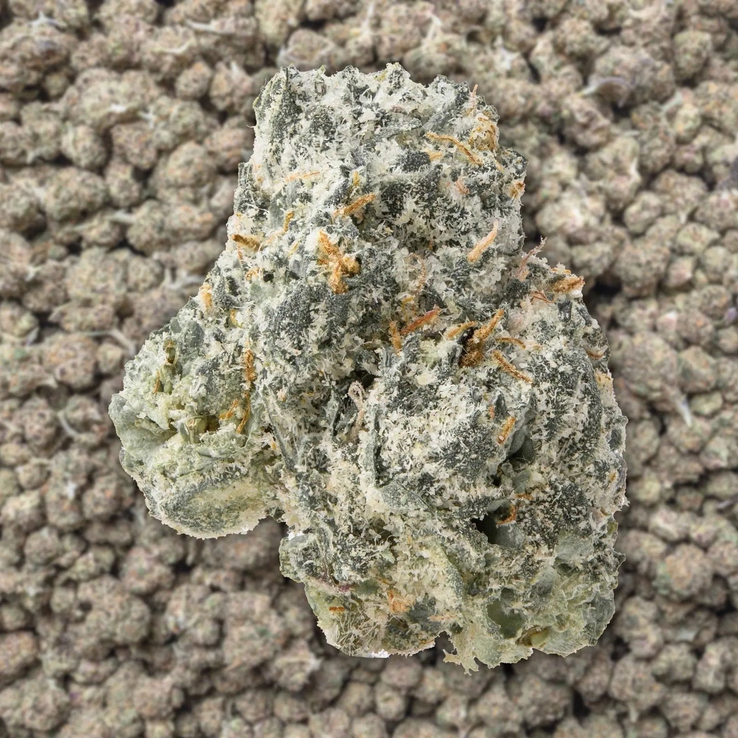 Gumbo Exotic Smalls THCa Flower Ounce supergreenshempco