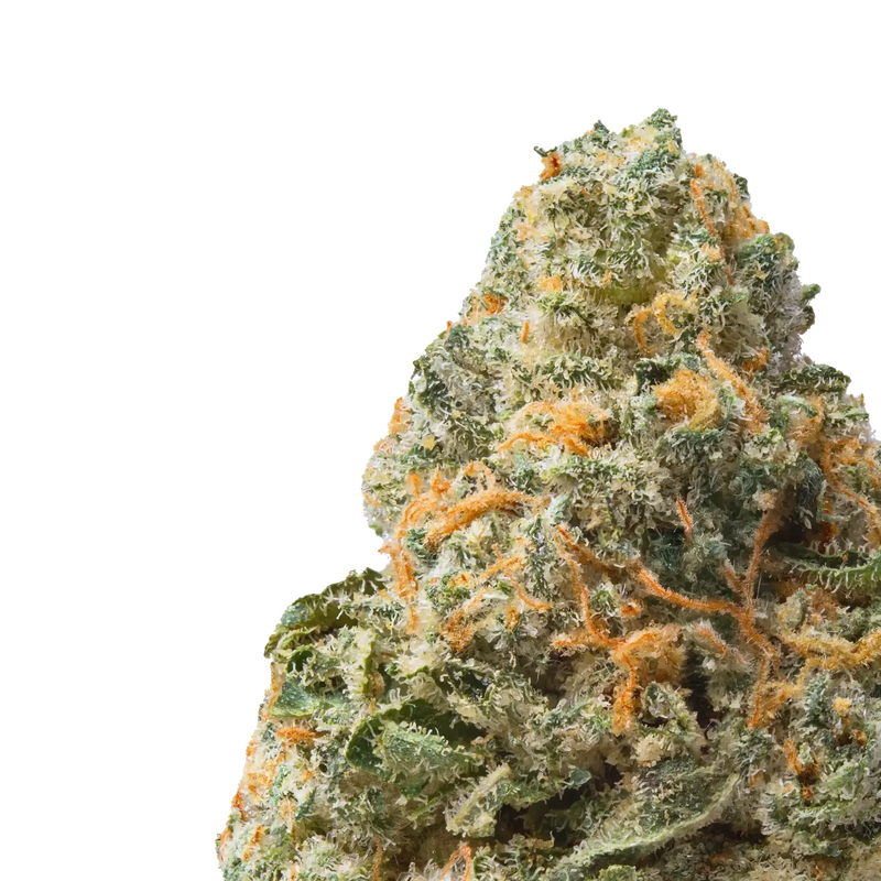 Jet Fuel Runtz close up