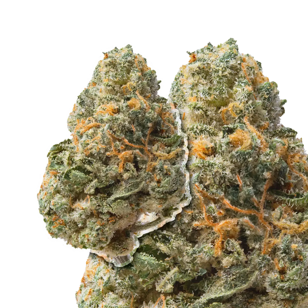 Jet Fuel Runtz compared