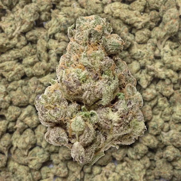 Lemon Cherry Gelato THCa Flower supergreenshempco