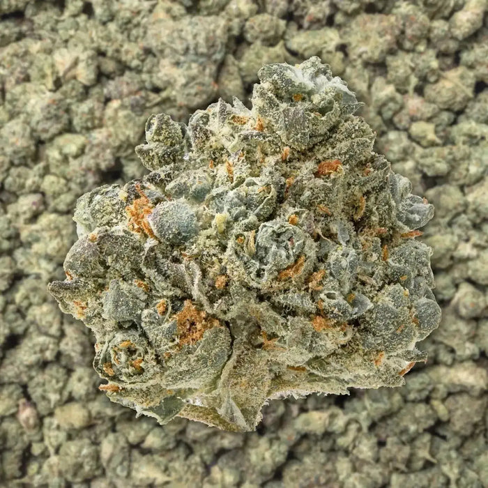 Lemon Pound Cake Smalls THCa Flower supergreenshempco