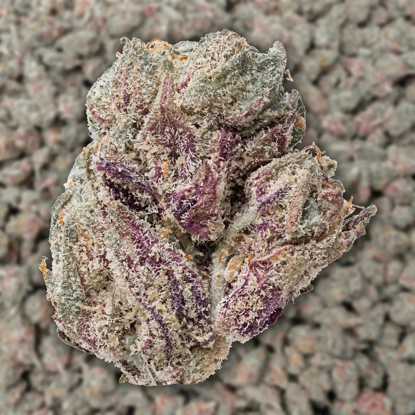 Purple Panty Dropper Smalls THCa Flower Ounce supergreenshempco