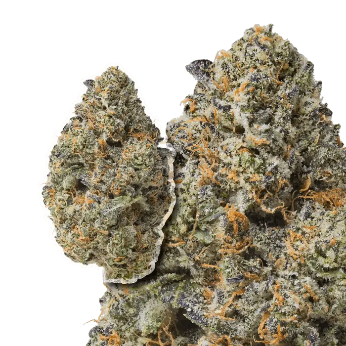Purple Passion THCa Flower