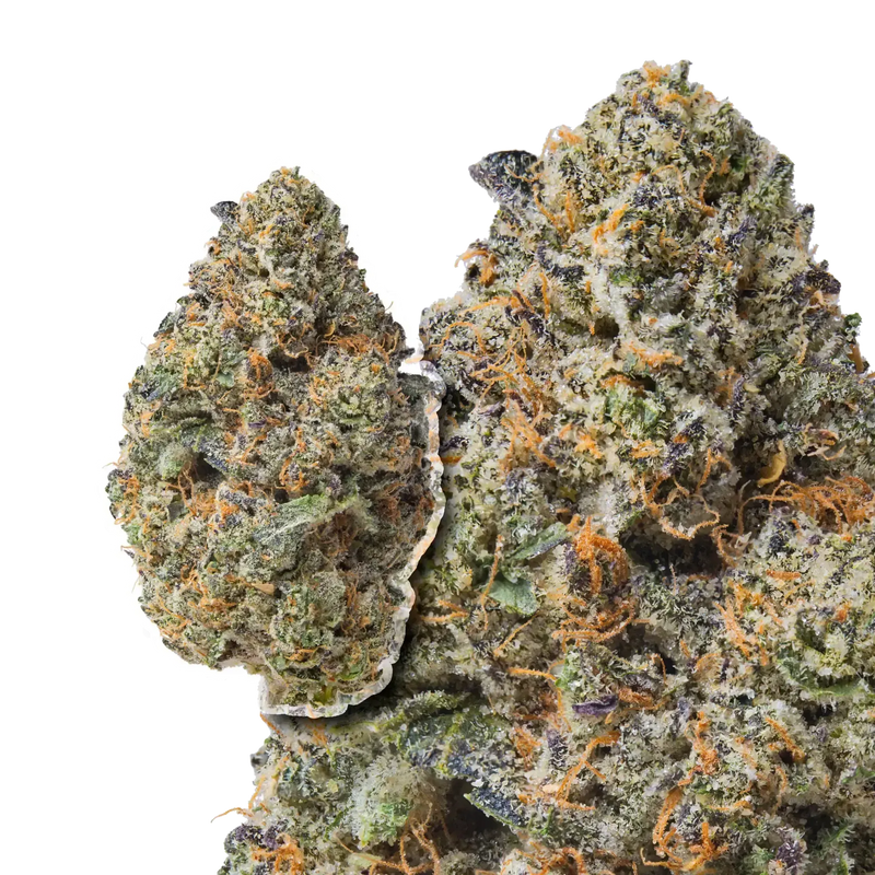 Purple Passion compared