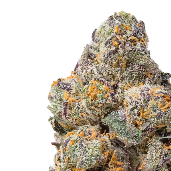 Rainbow Snowman close up