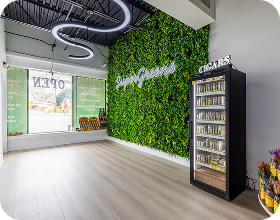 SuperGreens THCA Flower Best Store in USA
