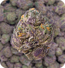 Free 3.5 Grams