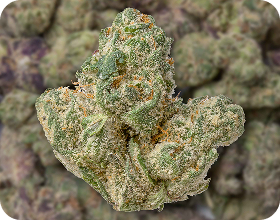 Free 3.5 Grams THCA Flower