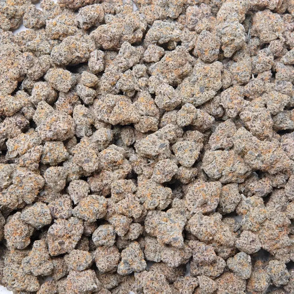 Silver Spoon THCa Flower supergreenshempco