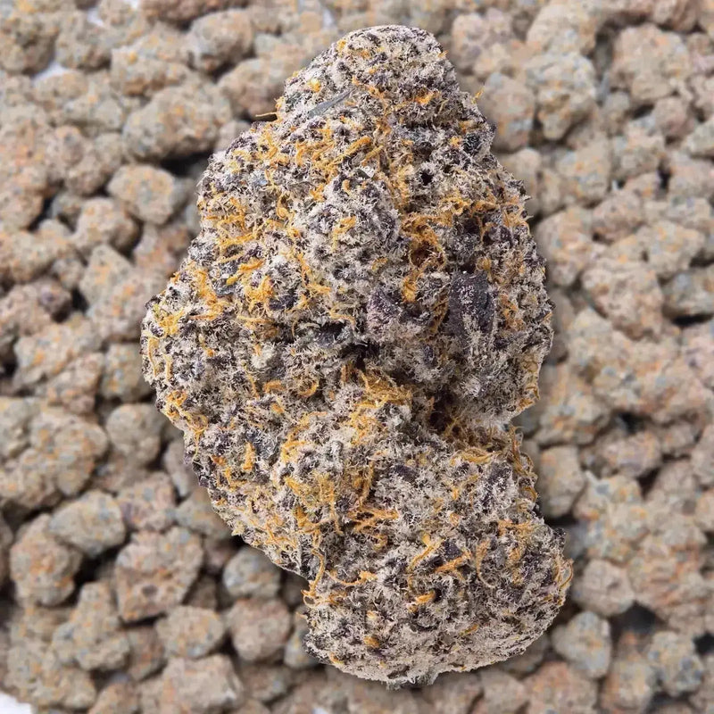 Silver Spoon THCa Flower supergreenshempco