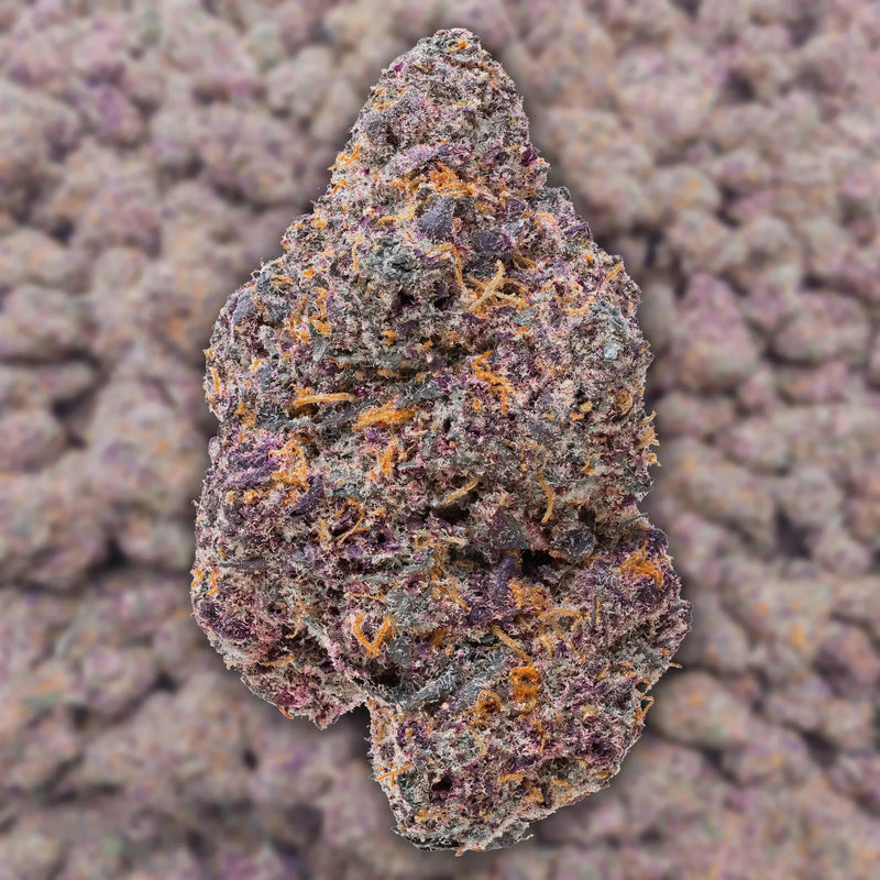 Super Boof THCa Flower Ounce supergreenshempco