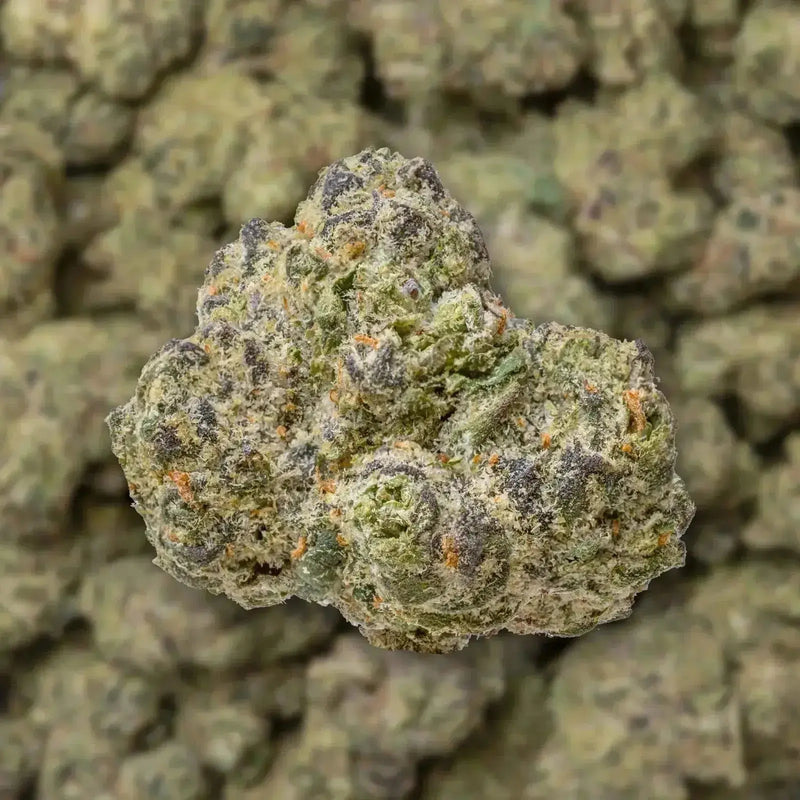 White Guava Smalls THCa Flower