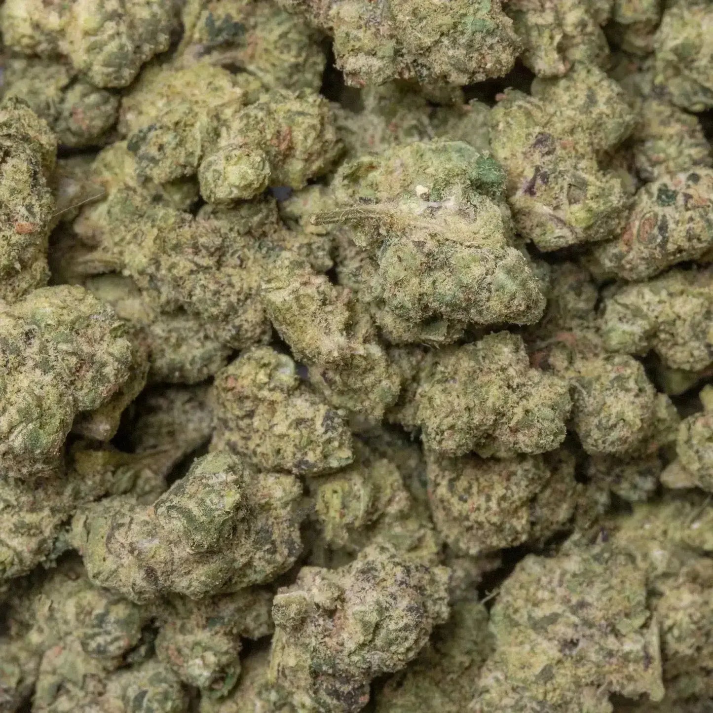 lots of cannabis
