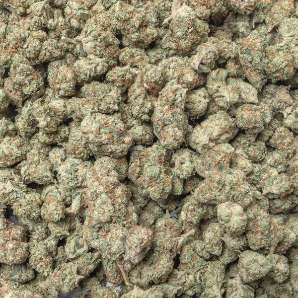 White Widow THCa Flower supergreenshempco