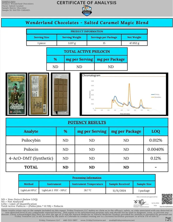 Wonderland Magic Mushroom Blend | Salted Caramel Wonderland