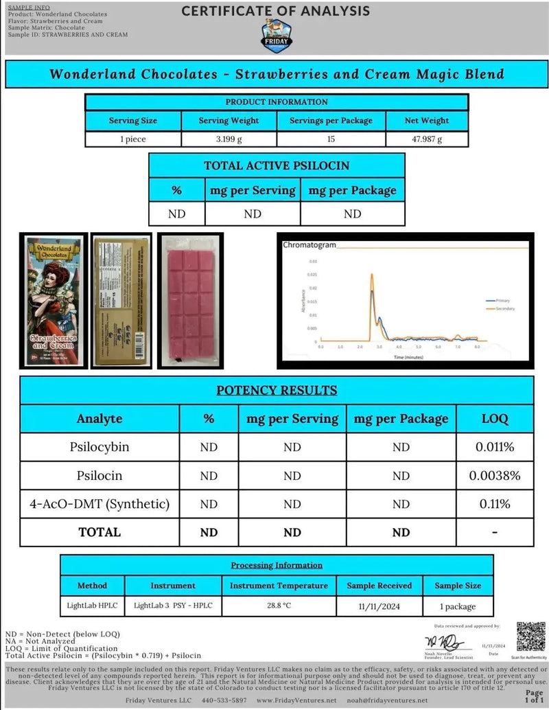 Wonderland Magic Mushroom Blend | Strawberries and Cream Wonderland
