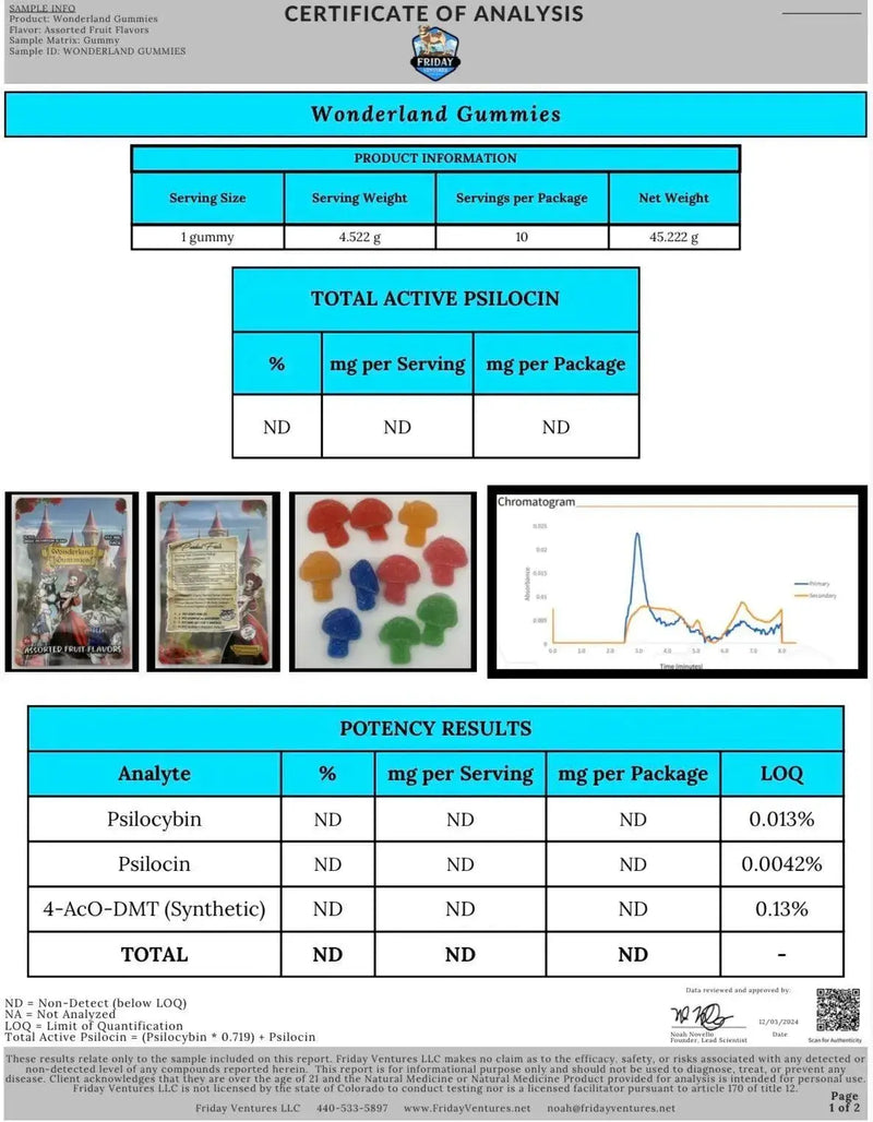 Wonderland Magic Mushroom Blend | Assorted Fruit Wonderland