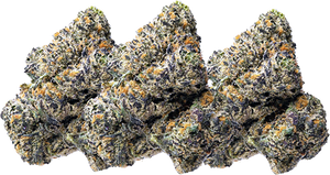 3.5 Grams<br>
Exotic THCa Flower
