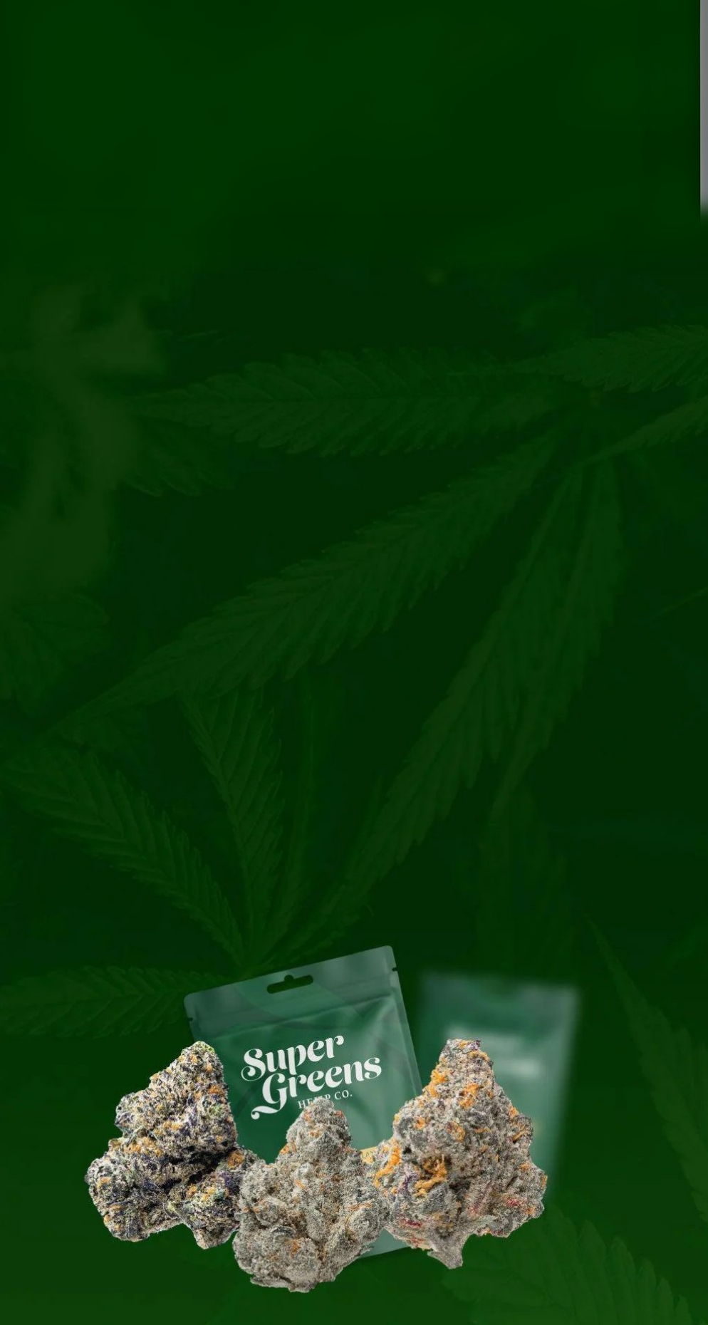 Super Greens packages with cannabis buds on a green leafy background
