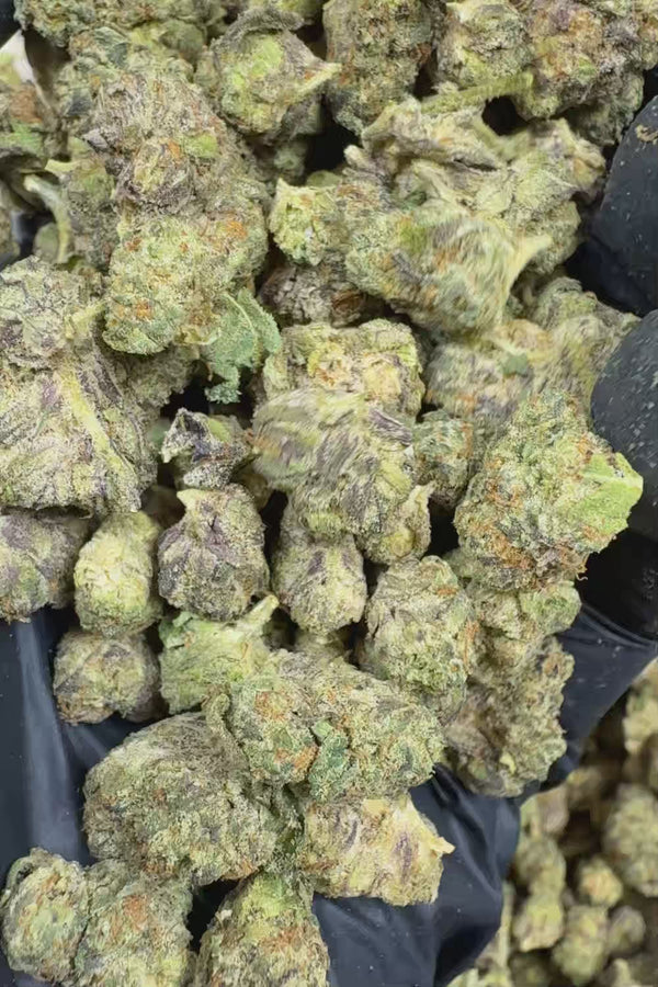 Blue rhino smalls Flower