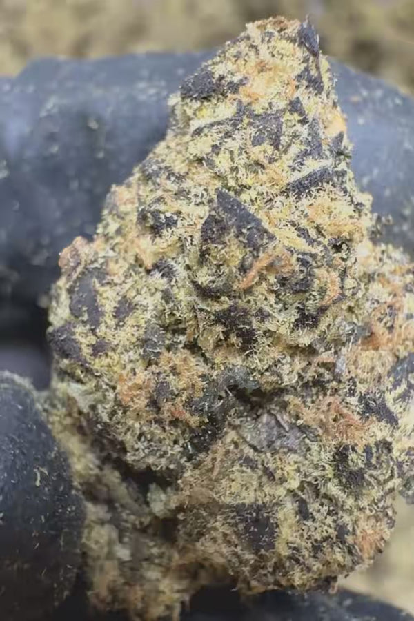 Purple Certz THCA Flower