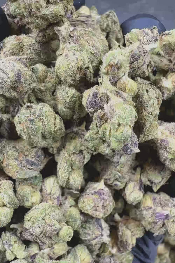 Purple Dream Smalls Flower