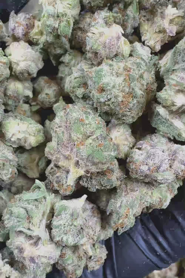 Pure Michigan smalls Flower