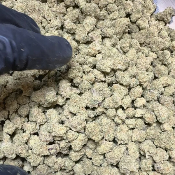 Pineapple-Express smalls Flower